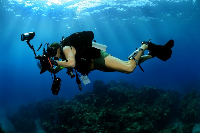 How To Make Money As An Underwater Photographer 2